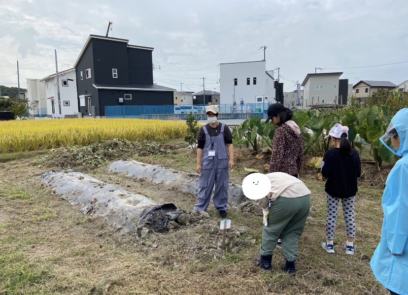 10月14日(土)サツマイモ掘りをしました🍠