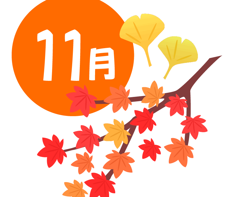 11月土曜日イベント　新開公園🛝・マクドナルド🍔・書写の里👺・焼きそば🍽️・カップケーキ🧁